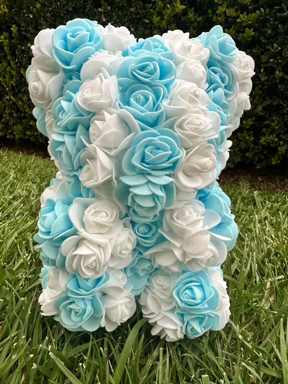 Custom Argentina FIFA Rose Bear